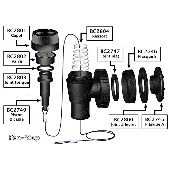 Accessoires et pièces détachées de wings